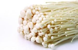 Enoki gljiva ekstrakt