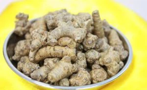 Ekstrakt Notoginseng
