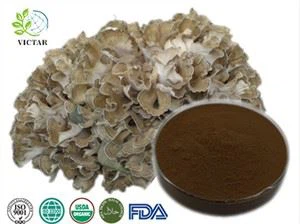 Maitake ekstrakt