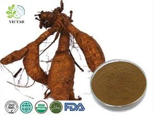 pueraria ekstrakt u prahu