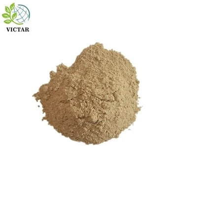 Astragalus Powder